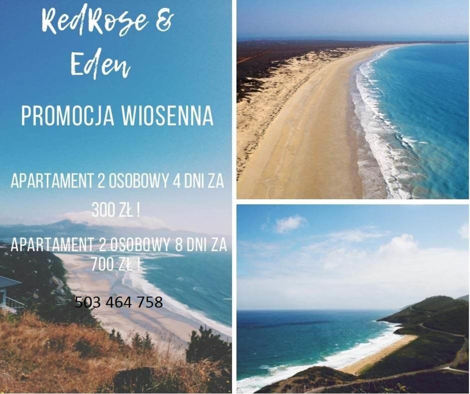 Resort Eden Domki, Apartamenty I Pokoje Jastrzębia Góra Dış mekan fotoğraf
